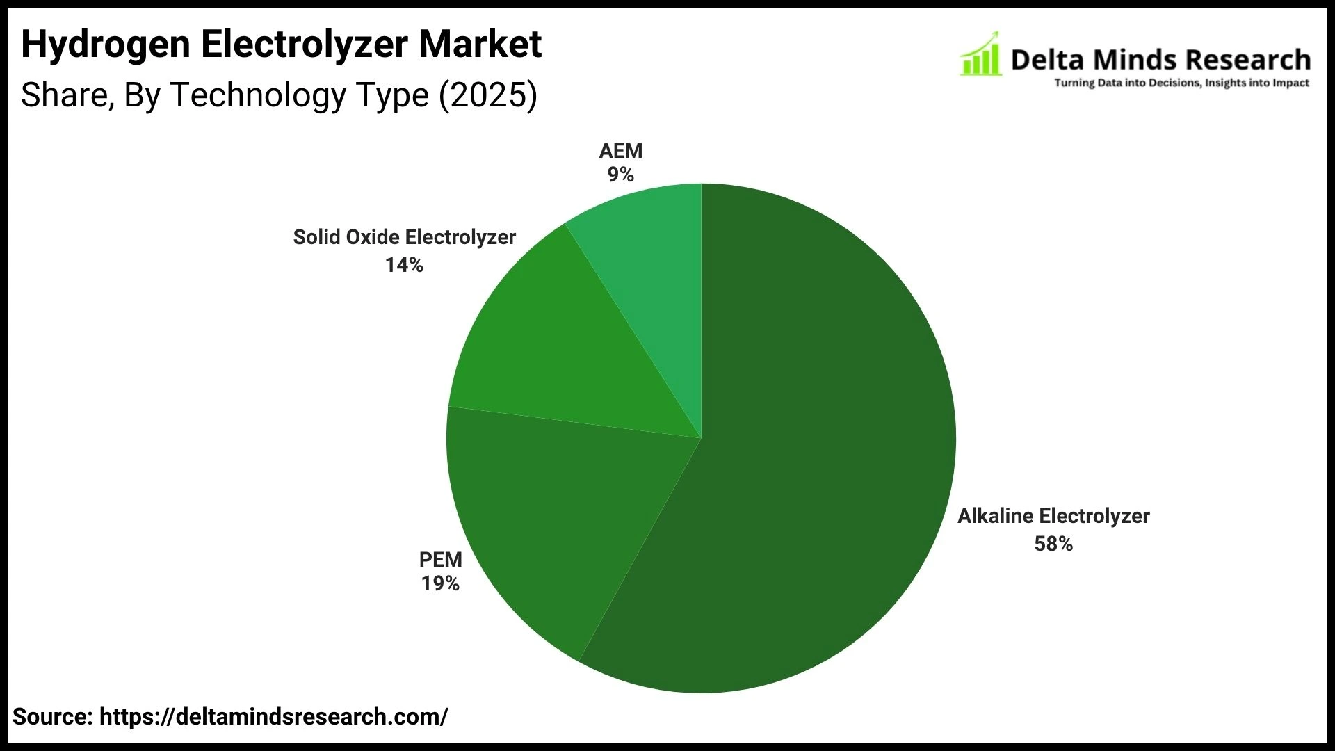 Hydrogen Electrolyzer Market By Technology Type